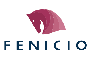 FENICIO Simplificando Vendas Complexas
